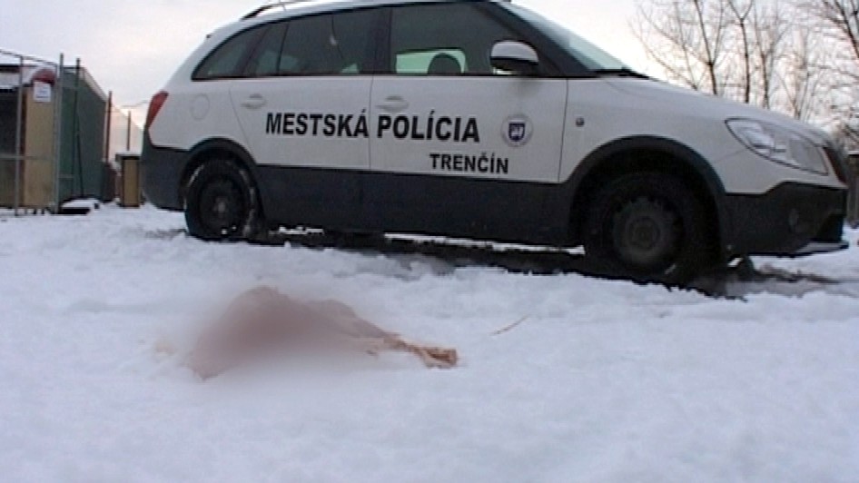 Mestská_polícia_Trenčín_pes_mŕtvy